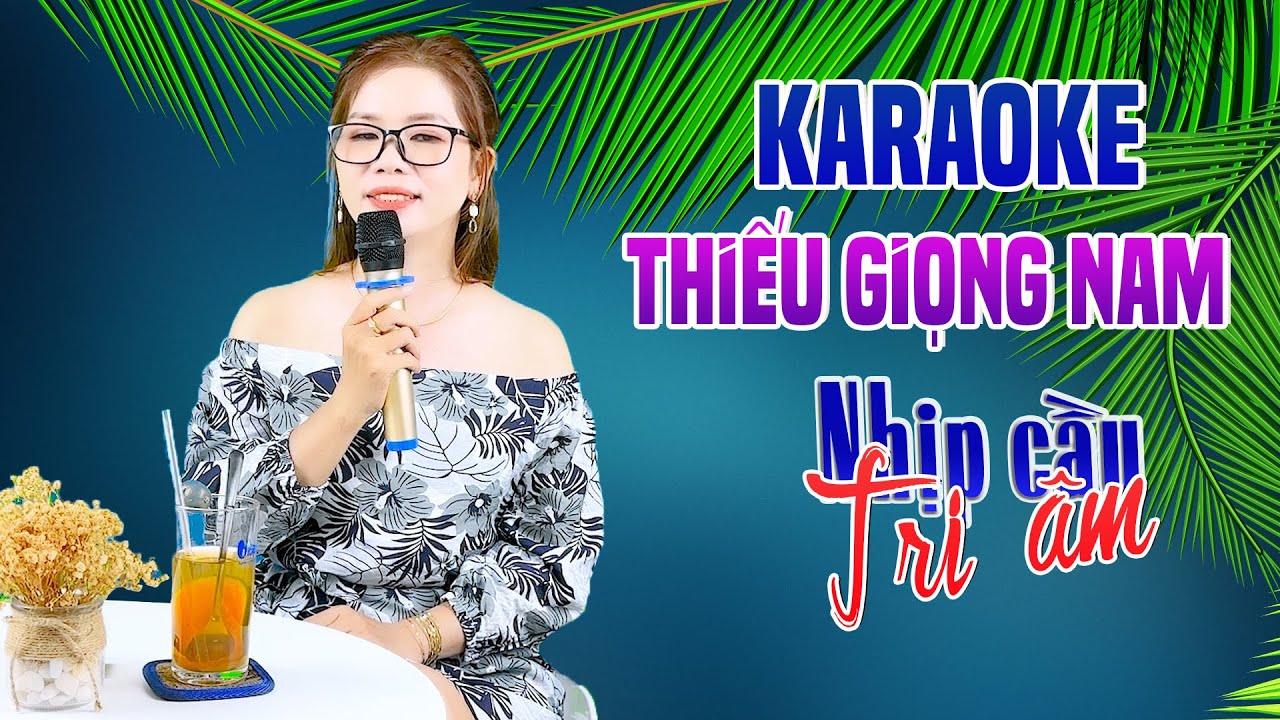 Karaoke Song Ca | NHỊP CẦU TRI ÂM - Thiếu Giọng Nam | Song Ca Với Lê Liễu