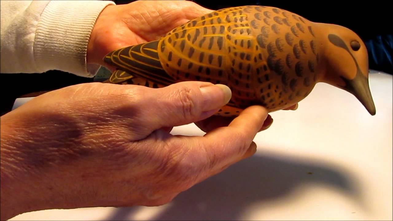 Laurie J. McNeil - Northern Yellow-shafted Flicker