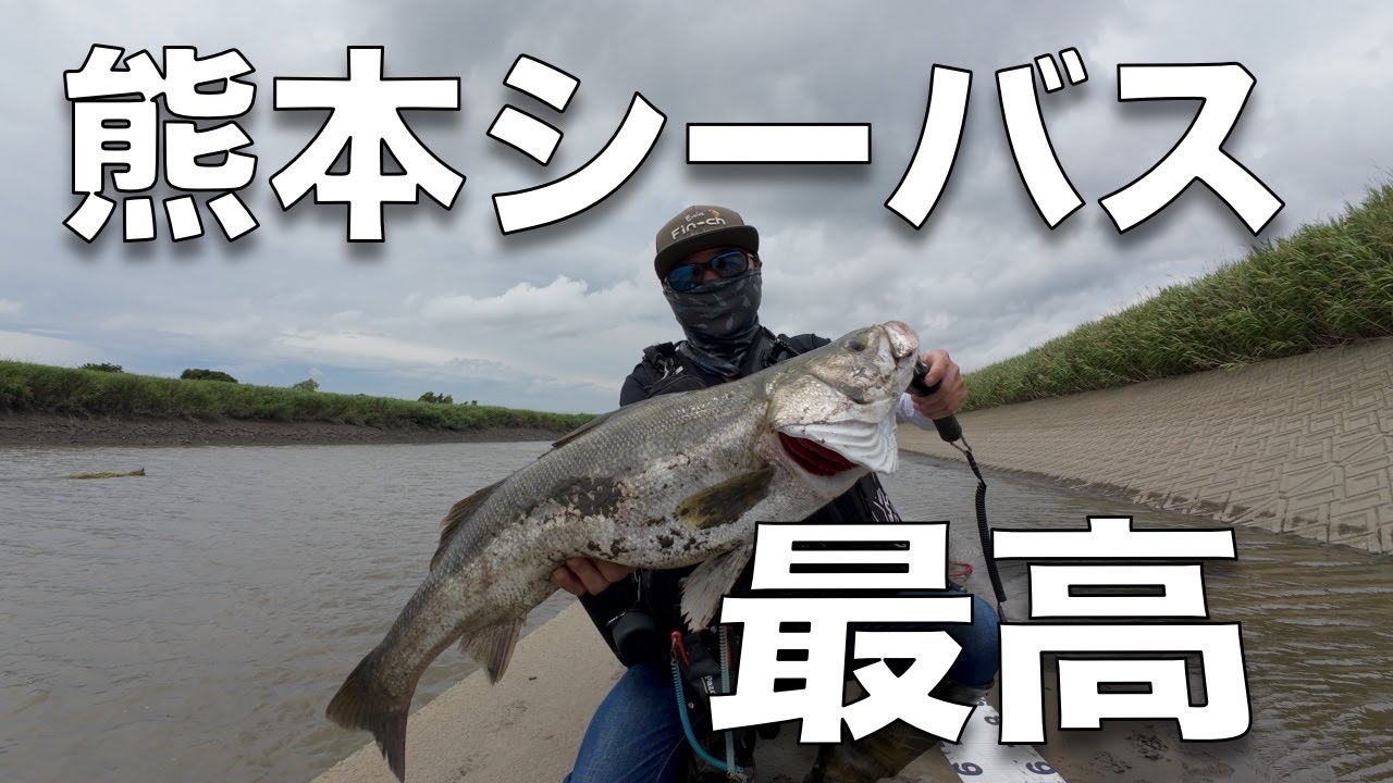 熊本シーバス　まさかのモンスター級!? 82㎝のシーバス現る！！