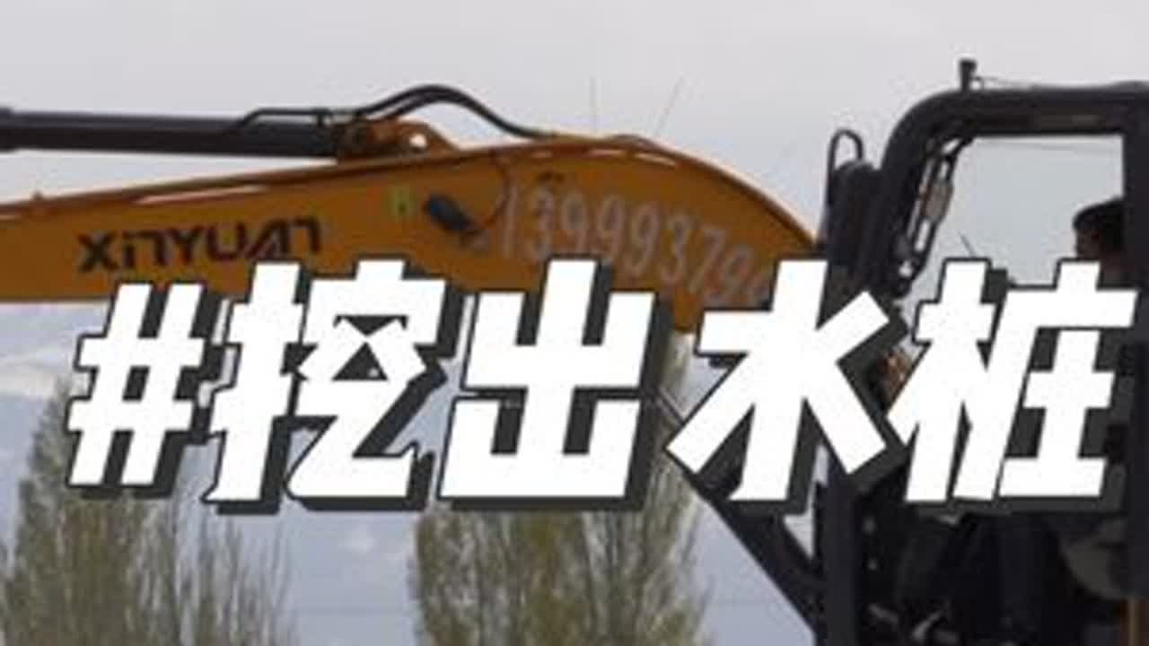 挖掘机技术哪家强？！ 用挖掘机挖出水桩，效率提升的可不止一点#三农 #新农人计划2024 #农村生活 #挖掘机 #我与土地的故事 用挖掘机挖出水桩，效率提升的可不止一点