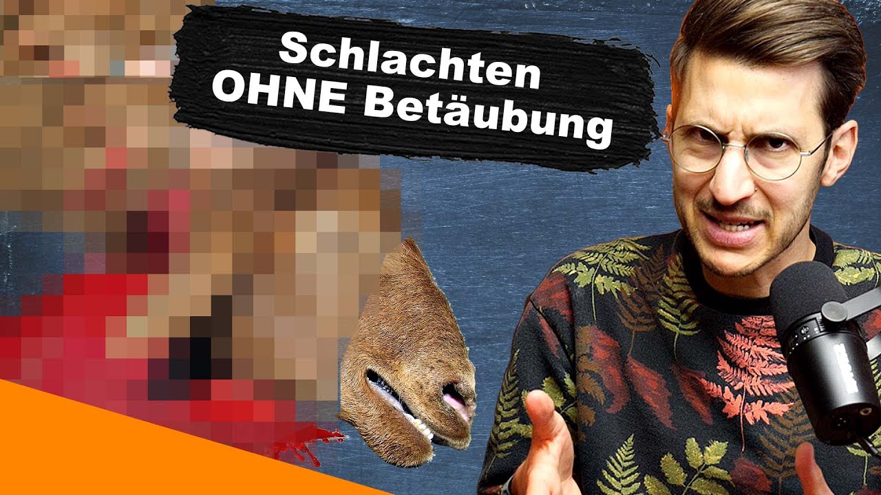 Sch&auml;chten ist Tierschutz