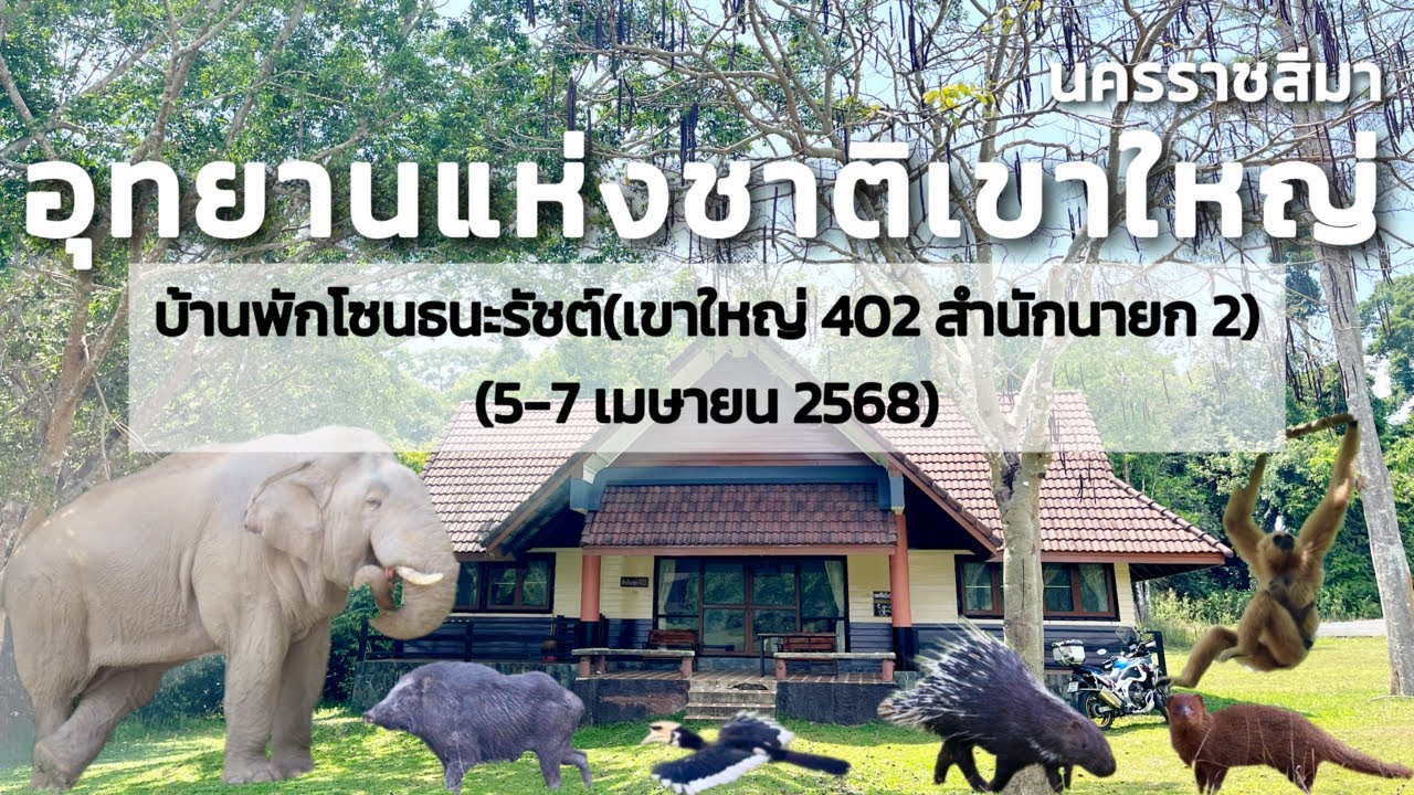 EP.229 อุทยานแห่งชาติเขาใหญ่ (บ้านพักโซนธนะรัชต์,พลายด้วน) จังหวัดนครราชสีมา