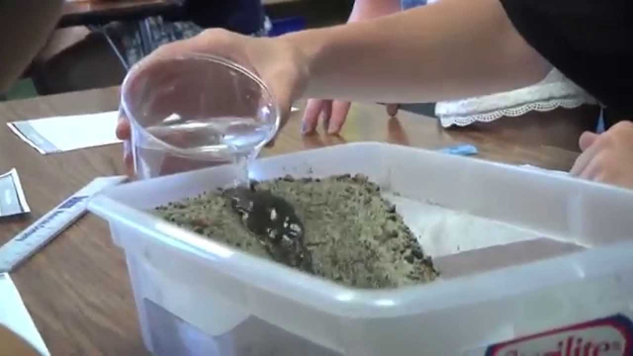 Project-Based Learning in Action: 