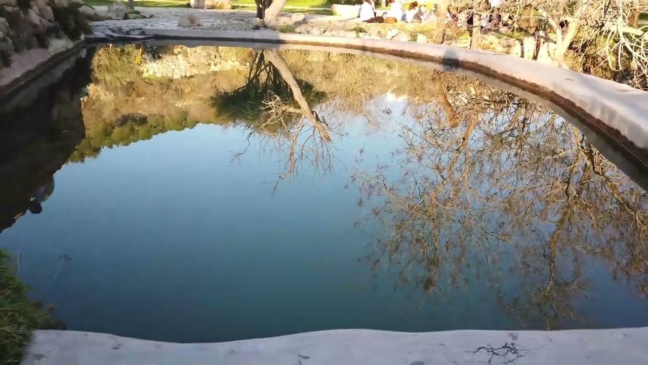 מצילים את עמק לבן SOS