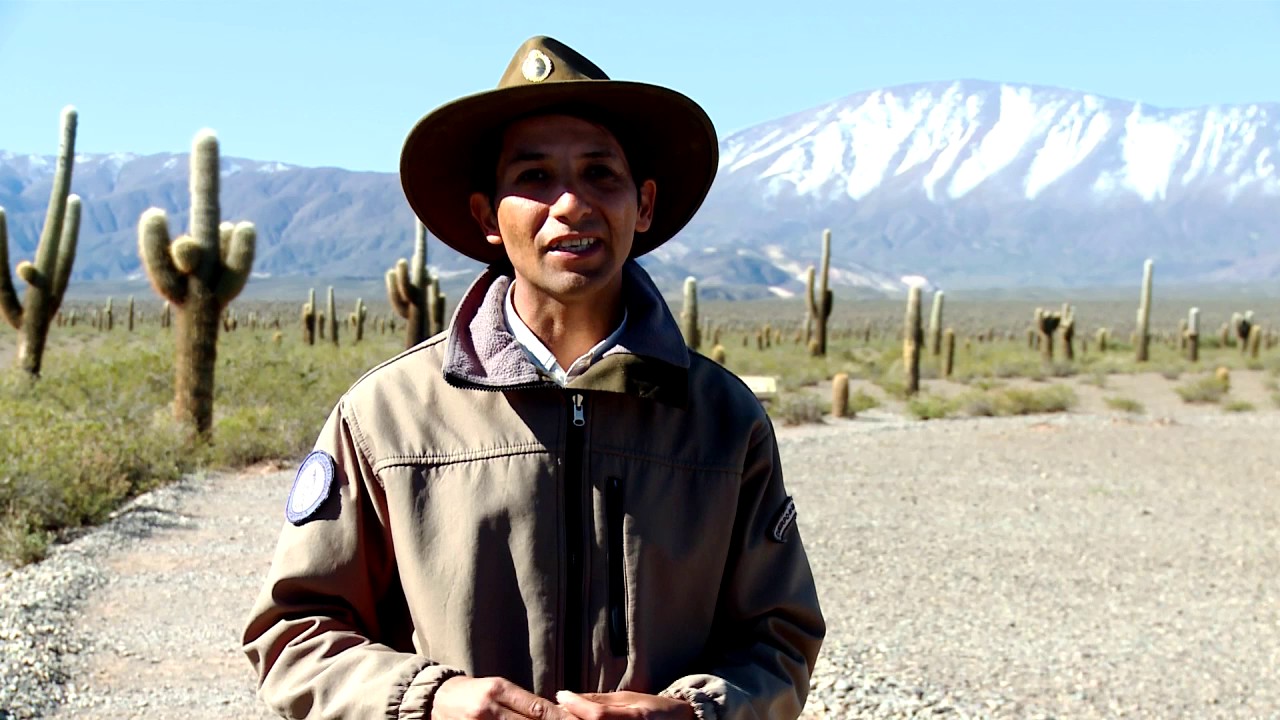 PARQUE NACIONAL LOS CARDONES - SALTA