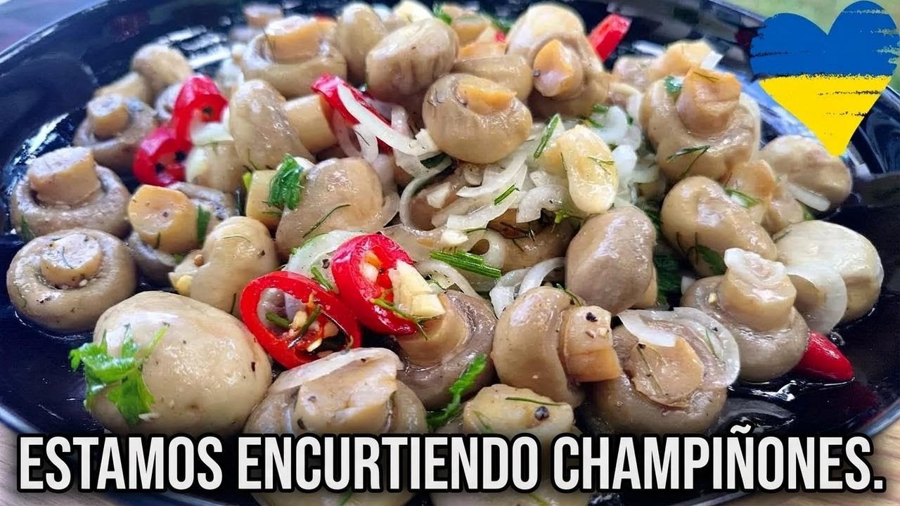 Todos encurten hongos, ¡yo los fermento! Hongos que sorprenden a todos
