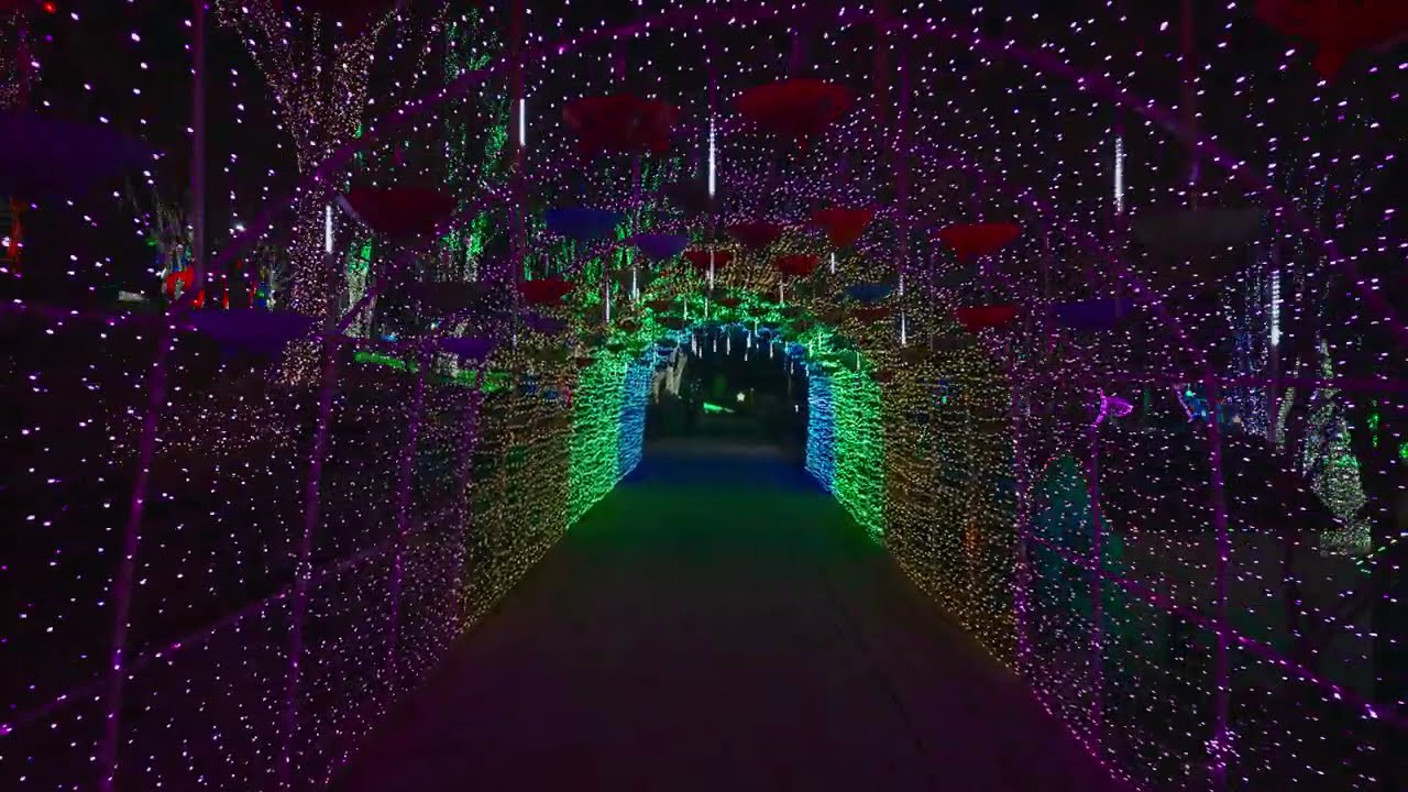 ⭐️Enjoy Ansan Starlight Village alone, Winter | Ansan South Korea 4K HDR