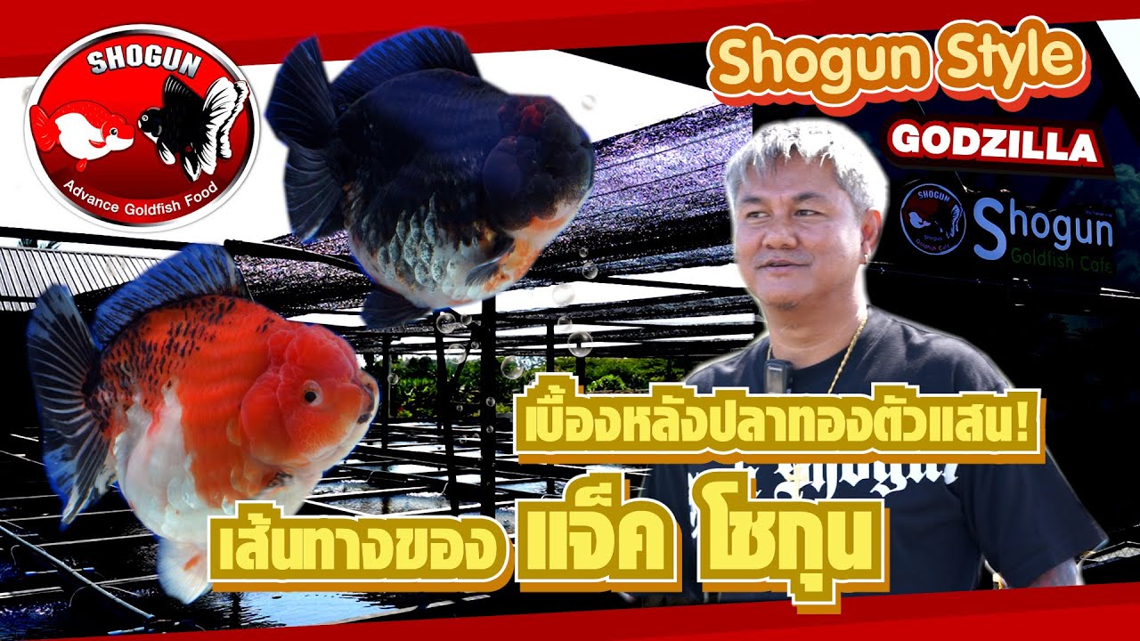 Menstory เบื้องหลังปลาทองตัวแสน! เส้นทางของแจ็คโชกุนแห่ง Shogun Style