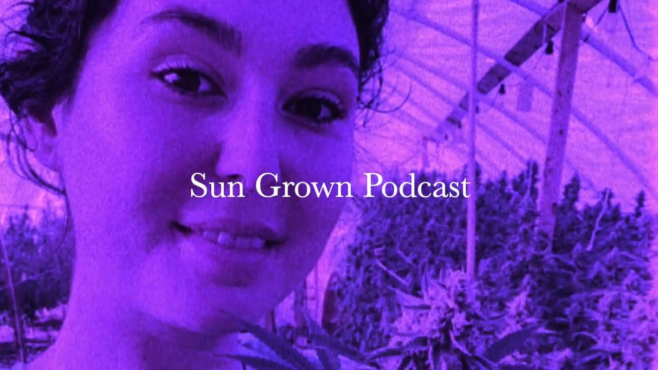 Sun Grown Podcast - Episode 1: Purple Caper Clip