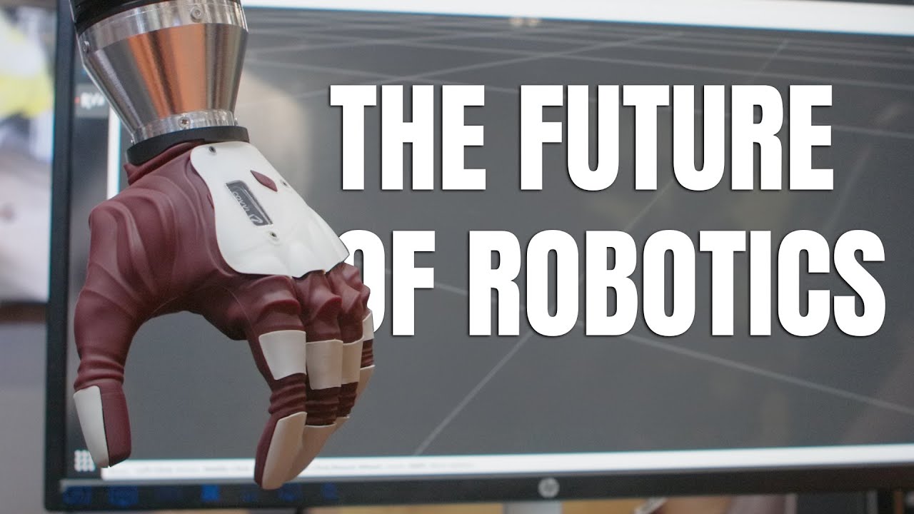 The Future of Robotics