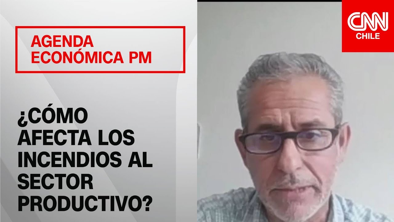 Presidente de Irade por incendios en el sur: 