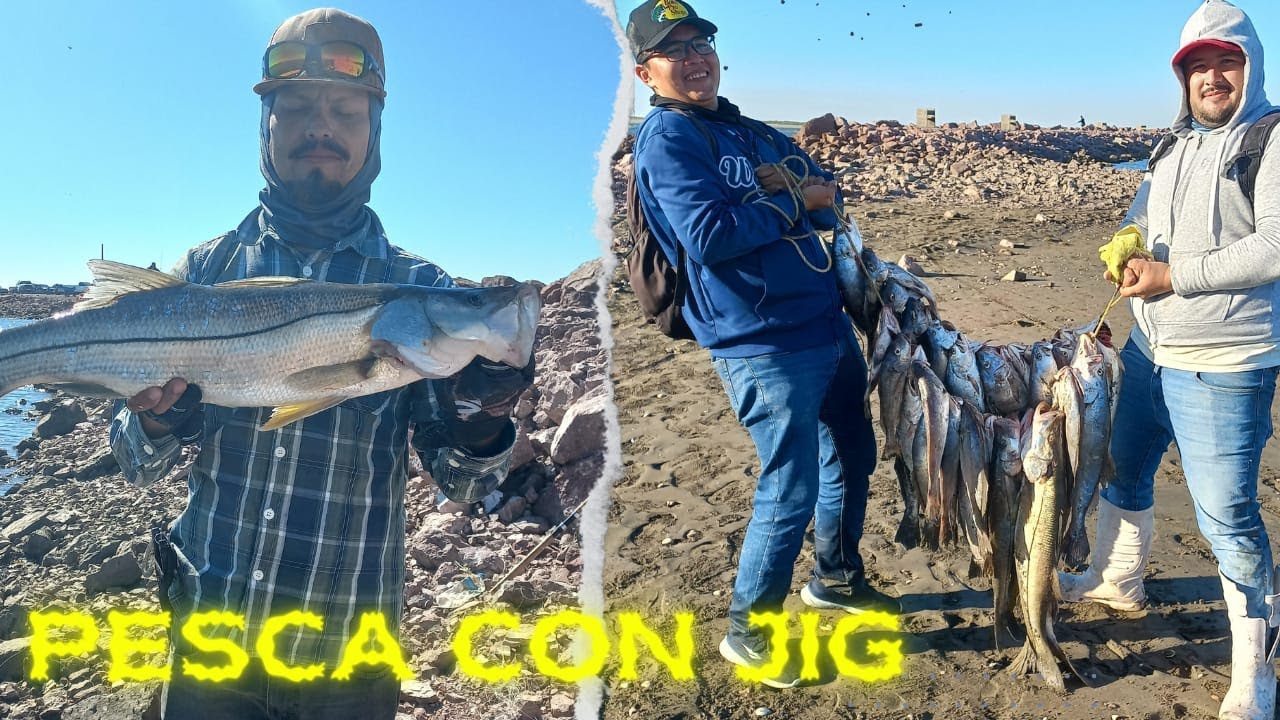 Fishing for bass and croaker with a jig / shore fishing #jigging #fishing