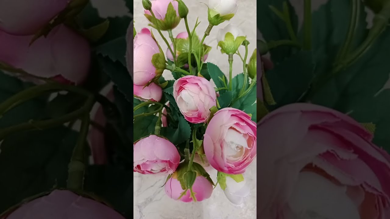 ASSALAMU'ALAIKUM KAMIS MANIS 😀🌹🌹