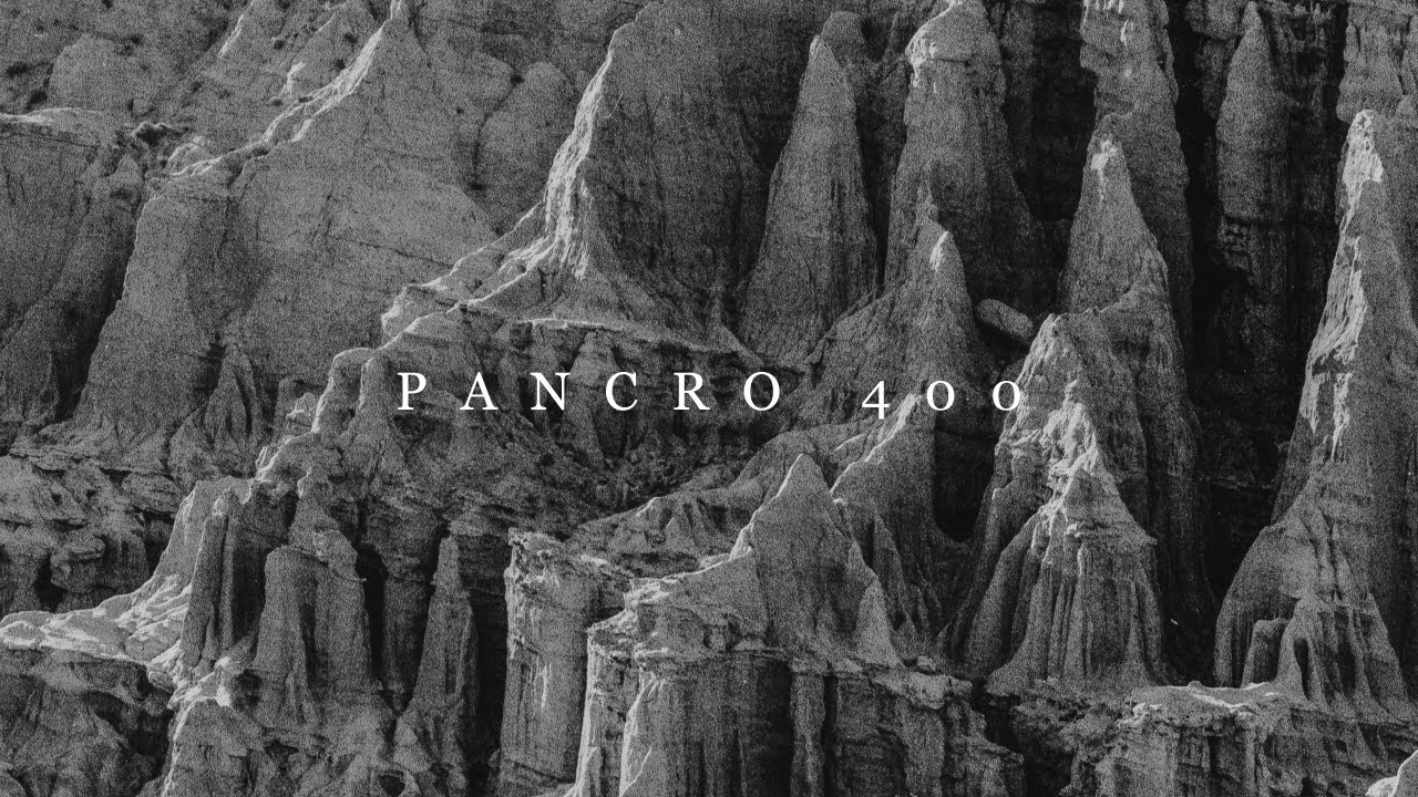 Bergger Pancro 400
