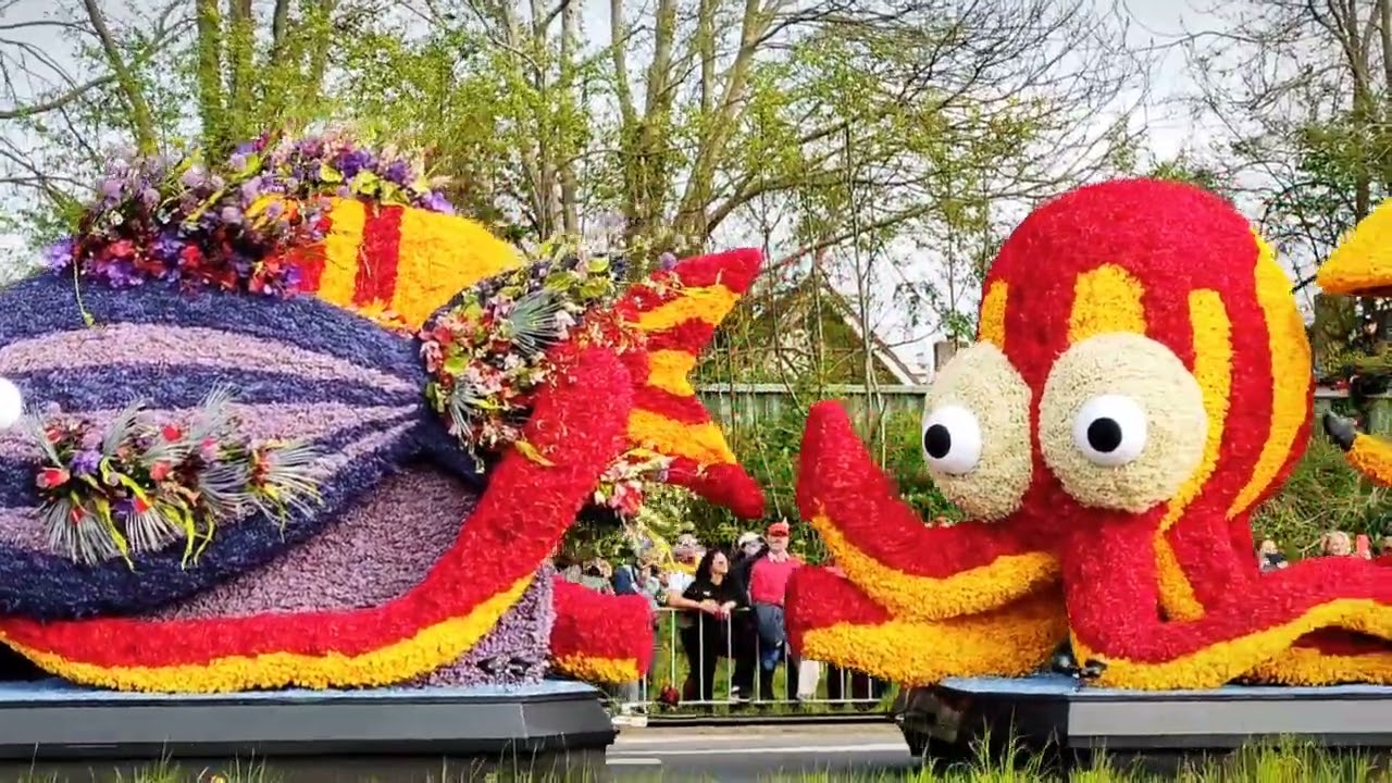 Keukenhof Flower Parade 2022..#parade #netherlands#keukenhof#latest