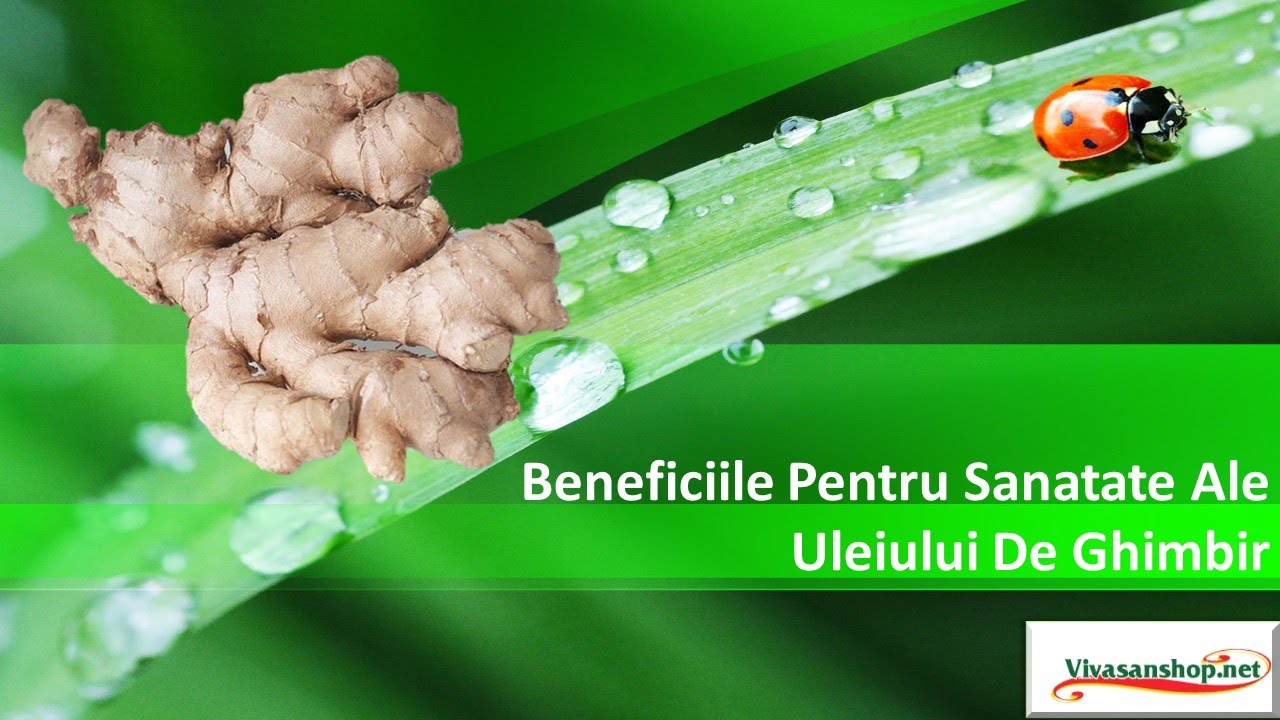 Beneficiile Pentru Sanatate Ale Uleiului De Ghimbir Vivasan/ Vivasan Romania