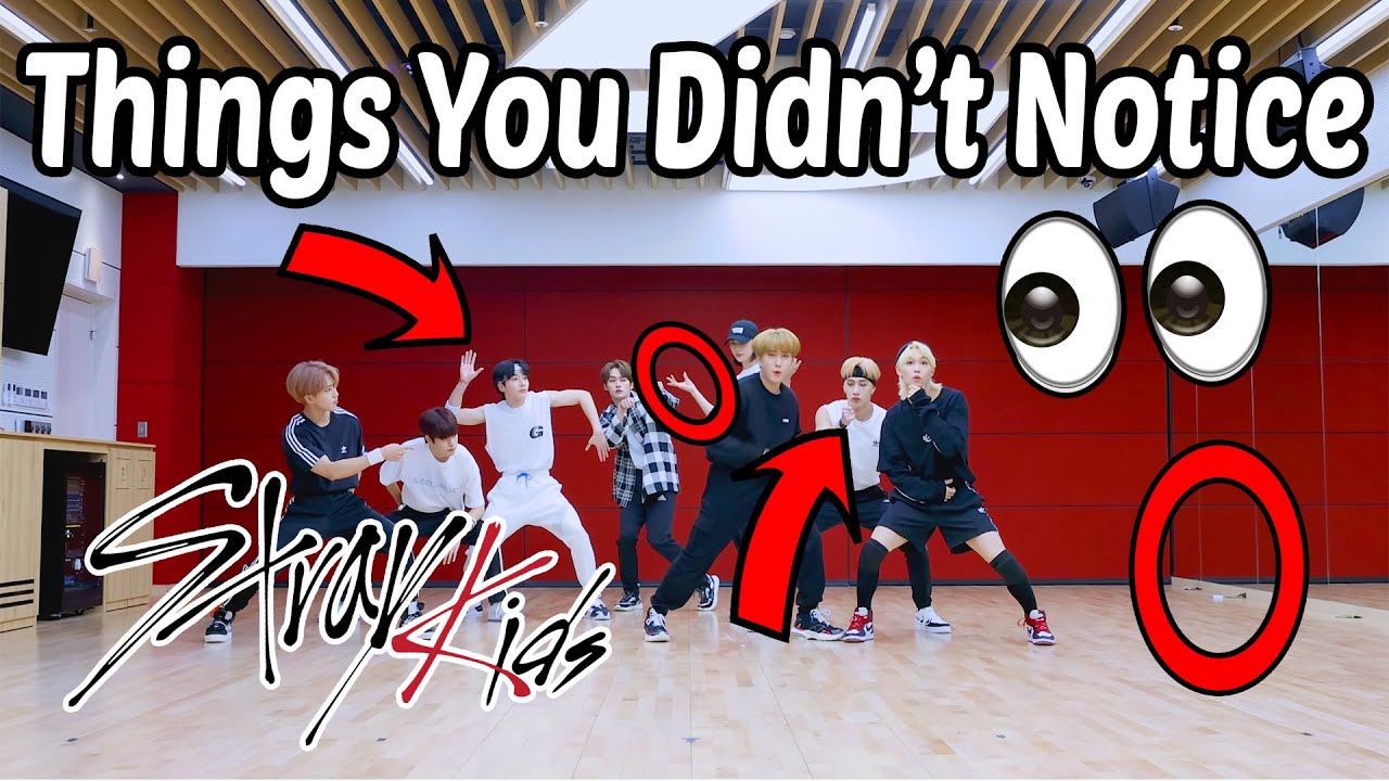 Things You Didn't Notice About Stray Kids 
