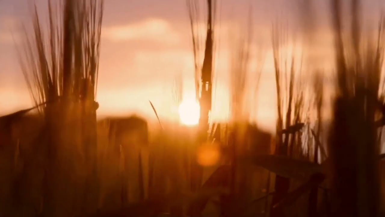 Rokya avec LES NOMS D'ALLAH SUBLIMES MachaaALLAH.