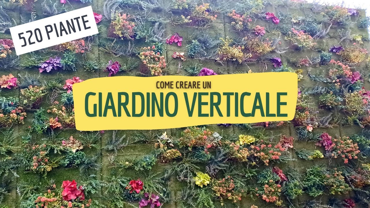 Come abbiamo creato un giardino verticale (e come puoi farlo anche tu)