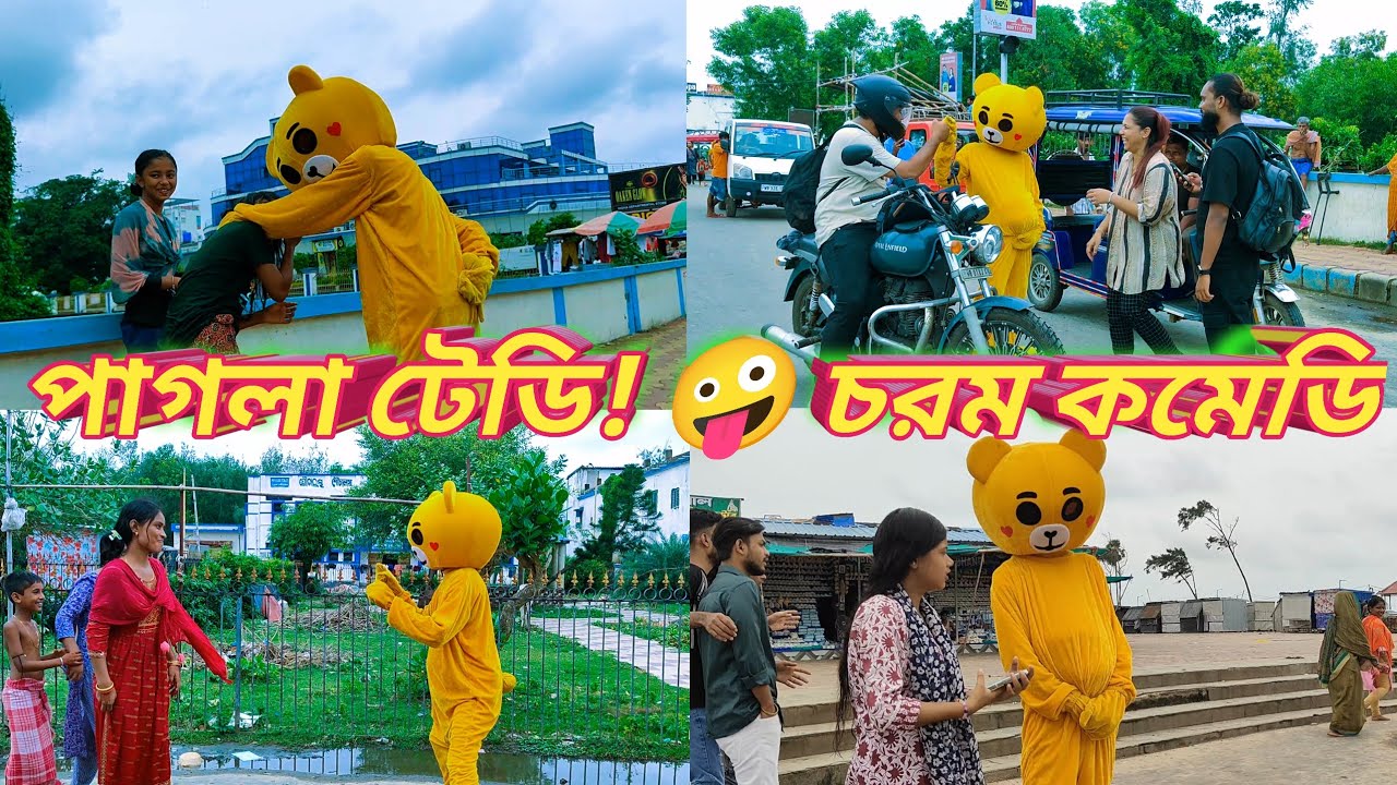 রাস্তায় পাগলা টেডি! 😂 পাবলিকের চরম রিঅ্যাকশন দেখে হাসতে হাসতে পেট ব্যথা!