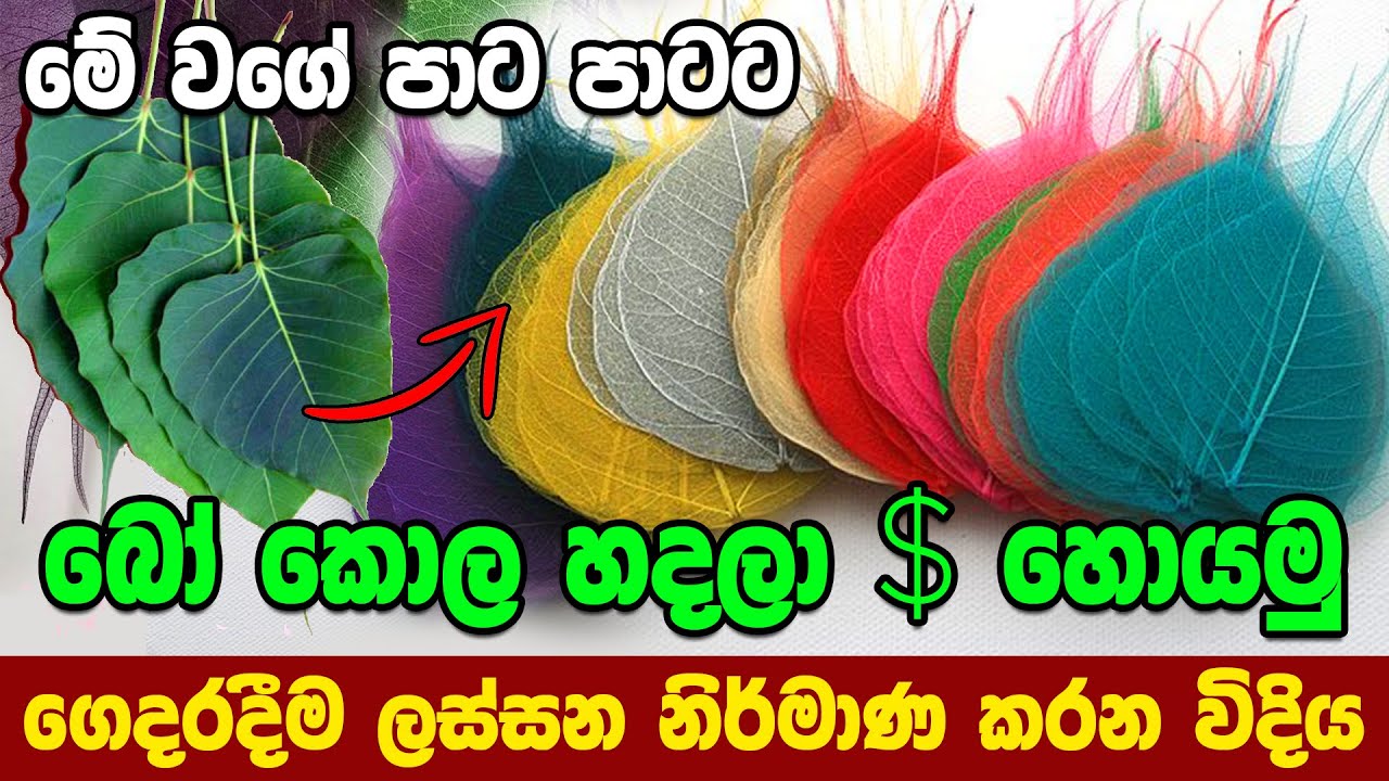 How to make Skeleton leaves ලස්සන සැරසිල්ලකට බෝ කොළ වලින් නිර්මාණයක් | Sinhala Crafts Video