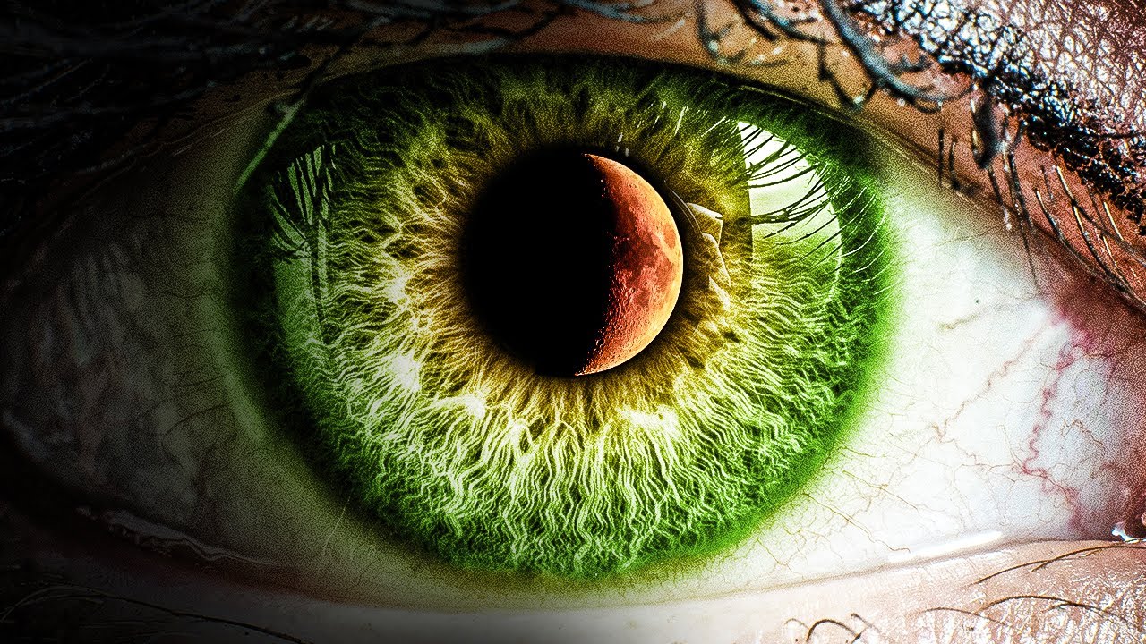 We Must See It Before It’s Too Late - Alan Watts on The Eternal Illusion