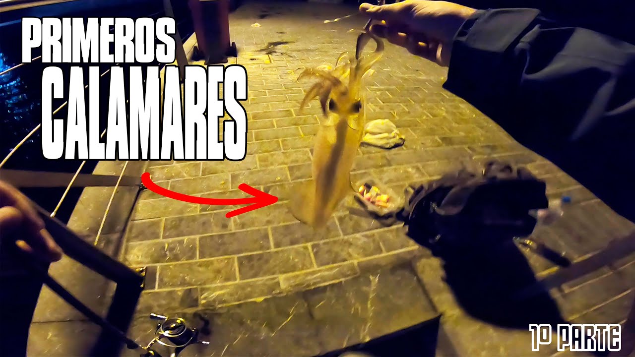 Primeros CALAMARES desde Costa / Calamares a EGING (1º Parte)