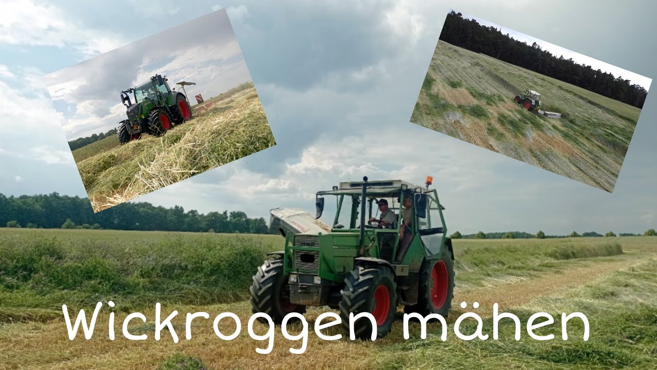 Wickroggen mähen‼️|Mit Fendt favorit 611LS und Claas Disco 3550🔥💯😍