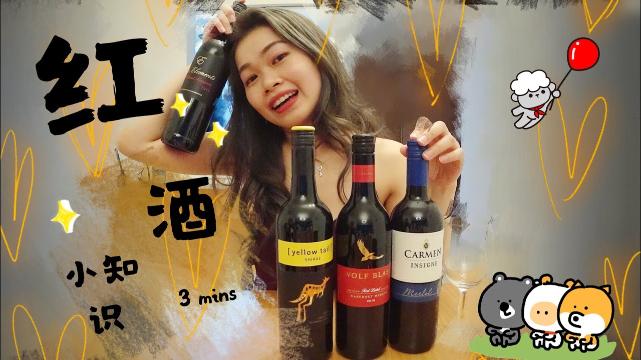 3分钟 学会选红酒 - 4大葡萄种类｜平价红酒推荐