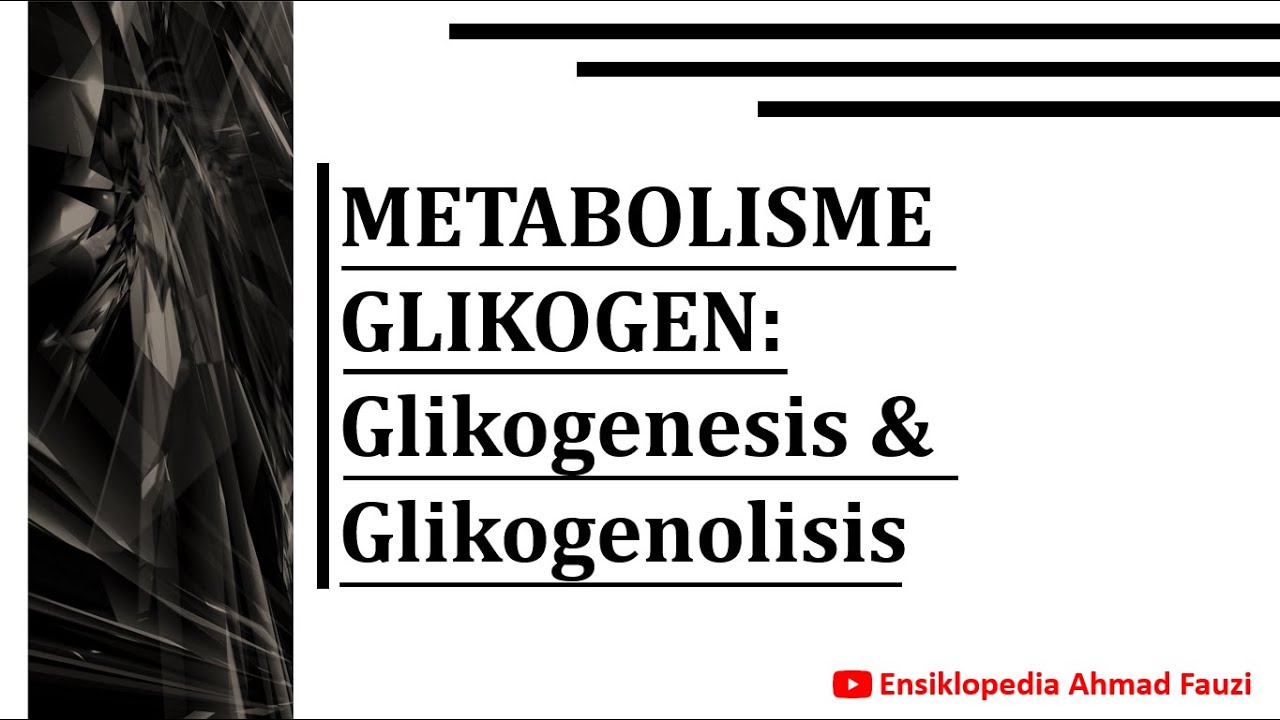 Metabolisme dan Regulasi Glikogen: Glikogenesis & Glikogenolisis