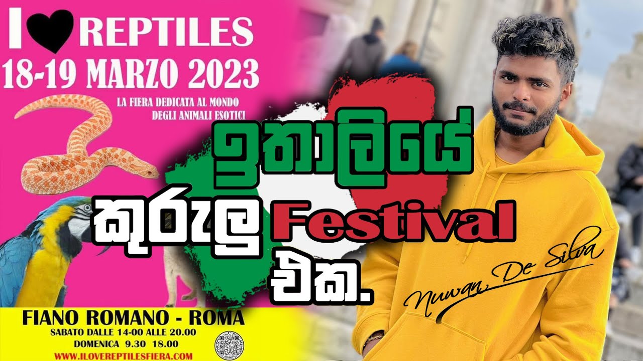 Bird festival in Italy 2023 - ඉතාලියේ කුරැලු ප්‍රදර්ශනය 2023