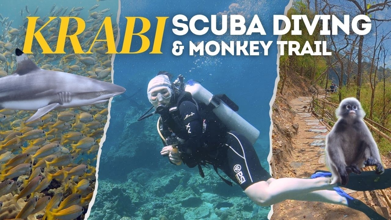 Krabi Adventures You Don’t Want to Miss! (Scuba Ding + Monkey Trail) | Final Part