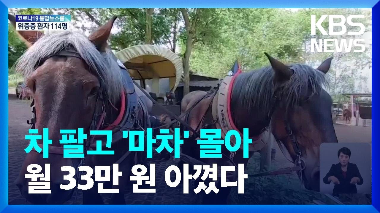 독일, 고유가로 자동차 팔아 &lsquo;마차&rsquo; 모는 여성 / KBS  2022.06.08.