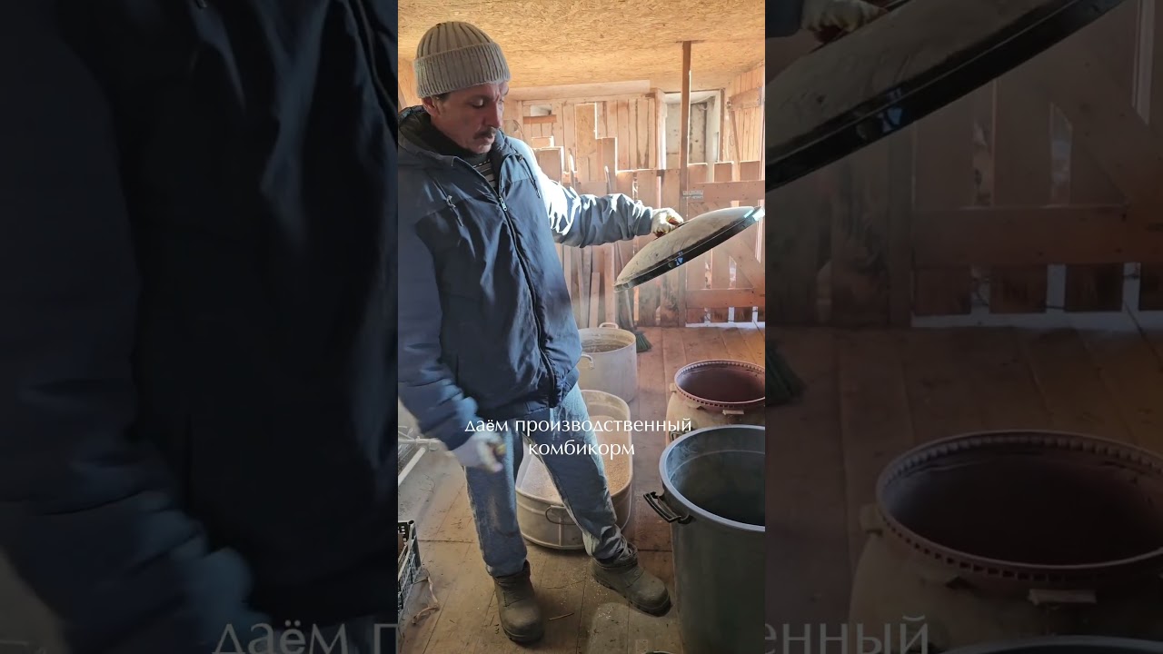 Как получать столько яичек от своих курочек каждый день. Подробнее в описании