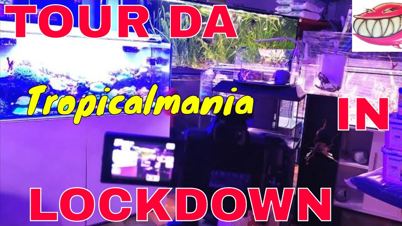 TOUR DA TROPICALMANIA IN LOCKDOWN  😀😀 by Tropicalmania