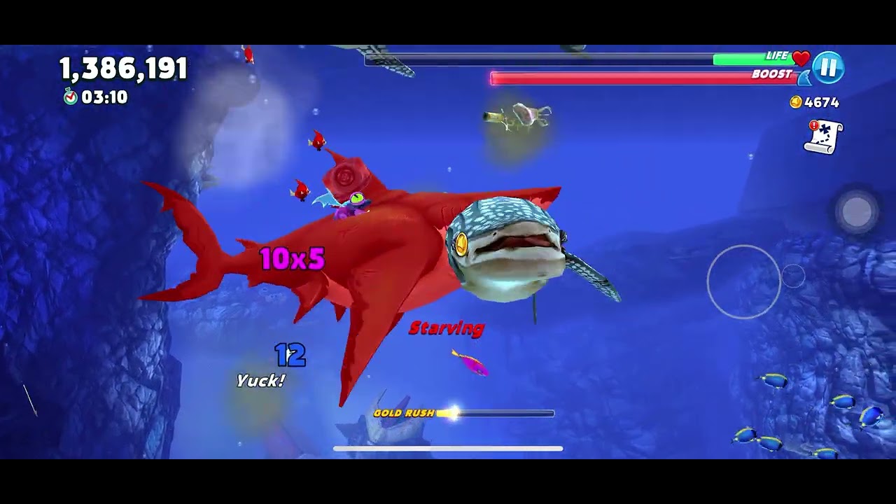 Hungry shark video 4￼