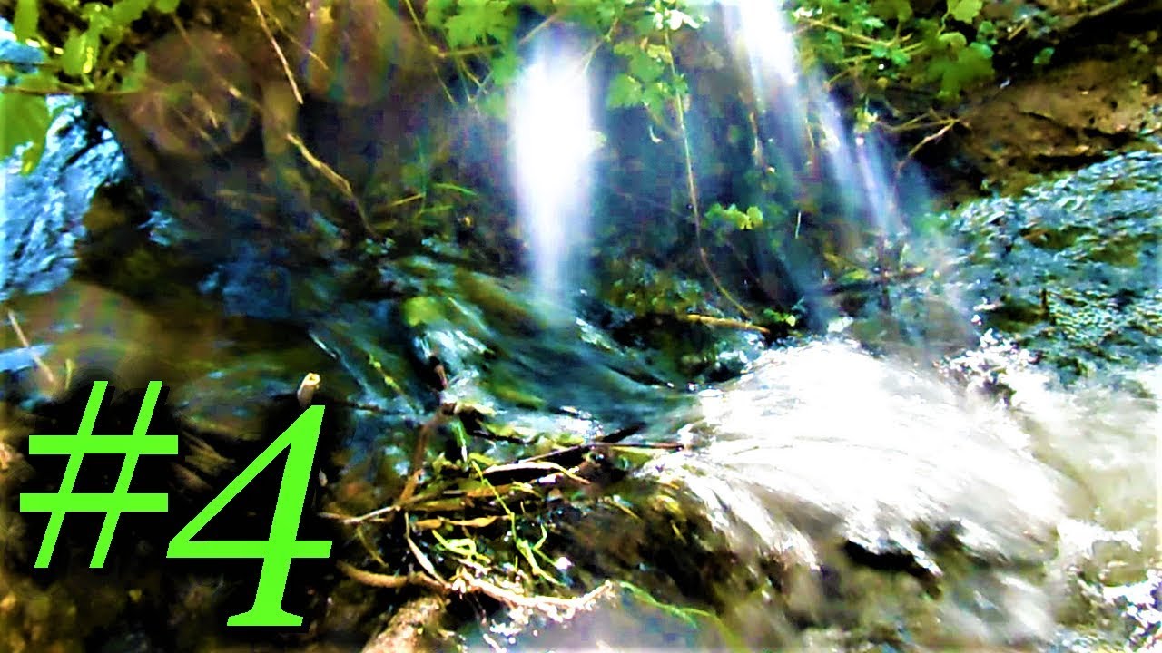 La Nature, une merveille, un trésor ! (4) 🌲🌳