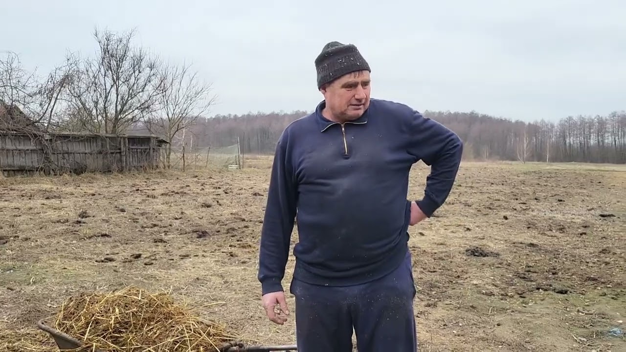 Чому не сухим кормом годуємо свиней. Пояснюю свою позицію!