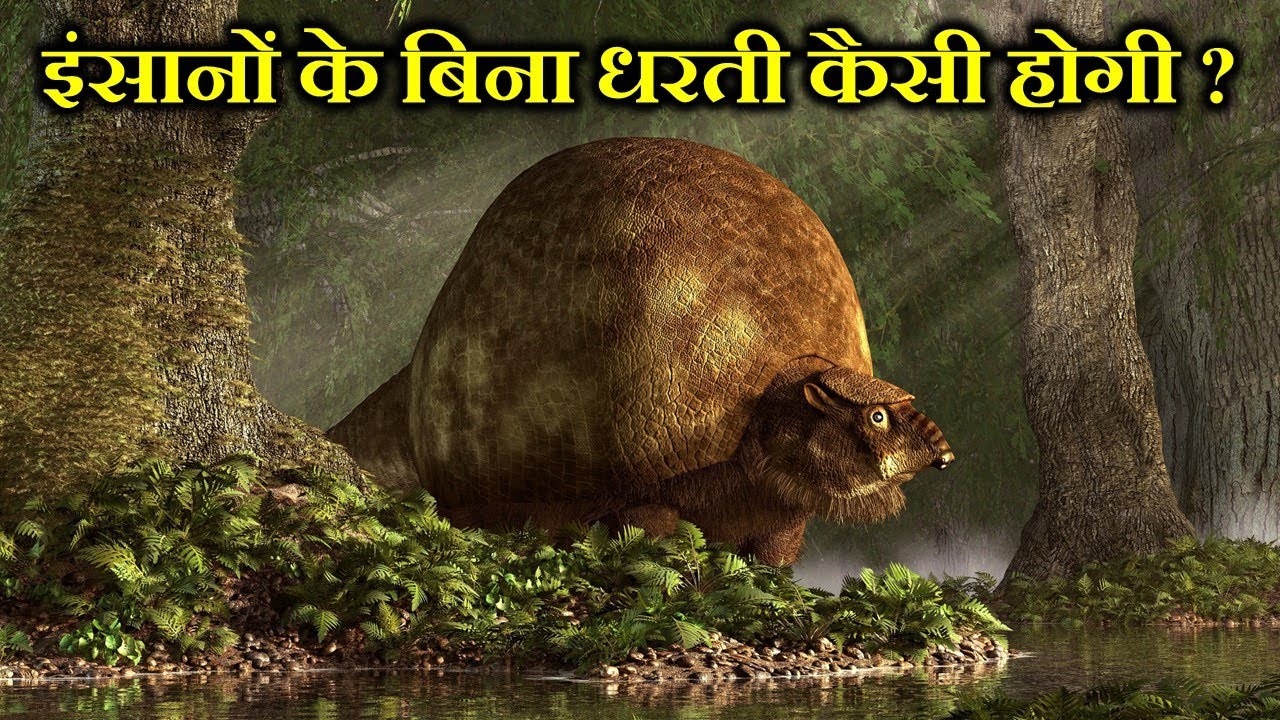 इंसानों के बिना पृथ्वी कैसी होगी ? WHAT WOULD THE EARTH BE LIKE WITHOUT HUMANS ?