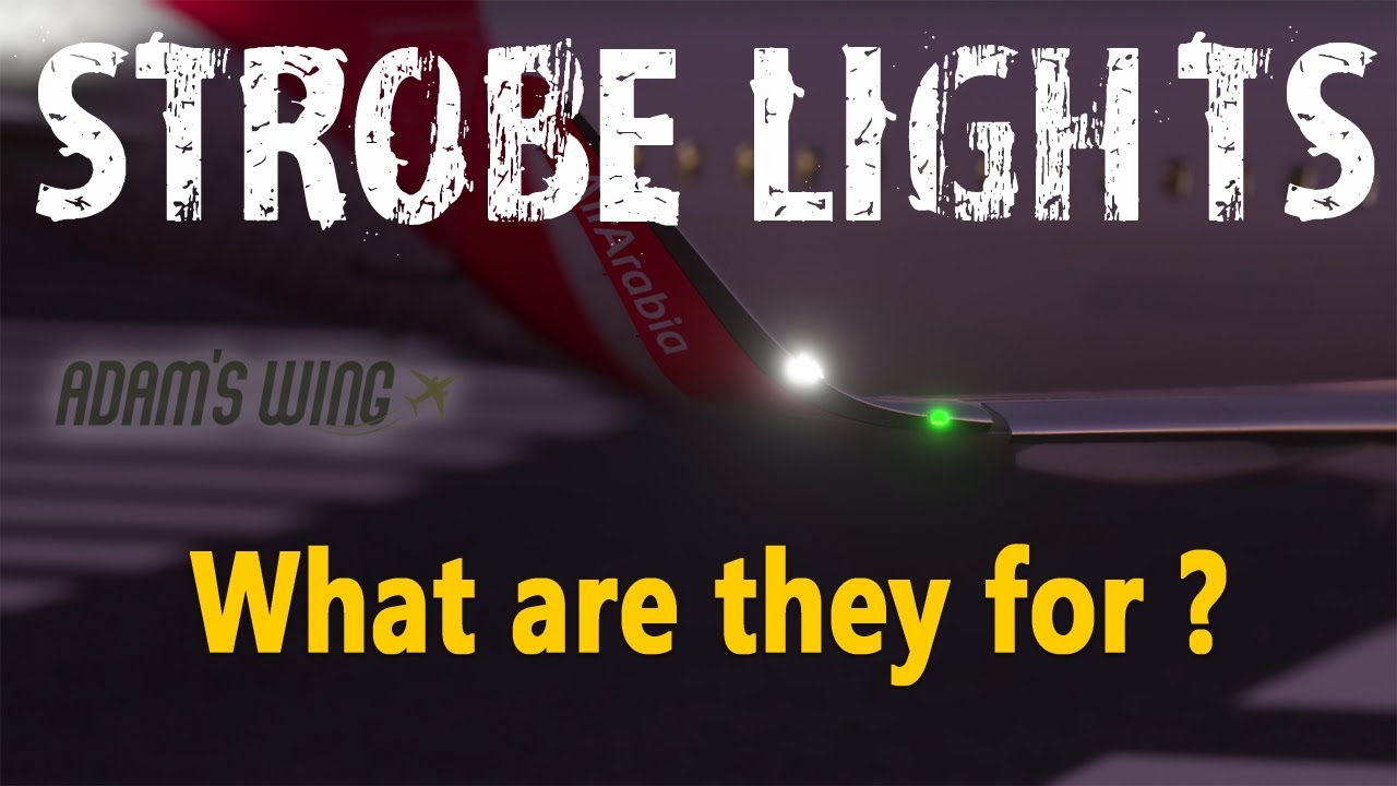 What are strobe lights on an aircraft? What are they for ? #aviation #strobelights