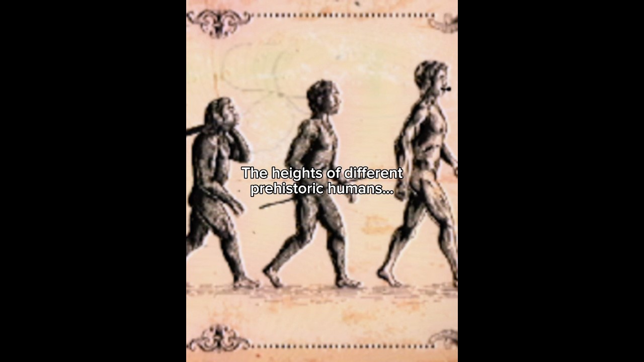 How tall were the extinct humans ? #prehistoric #iceage #earlyhumans