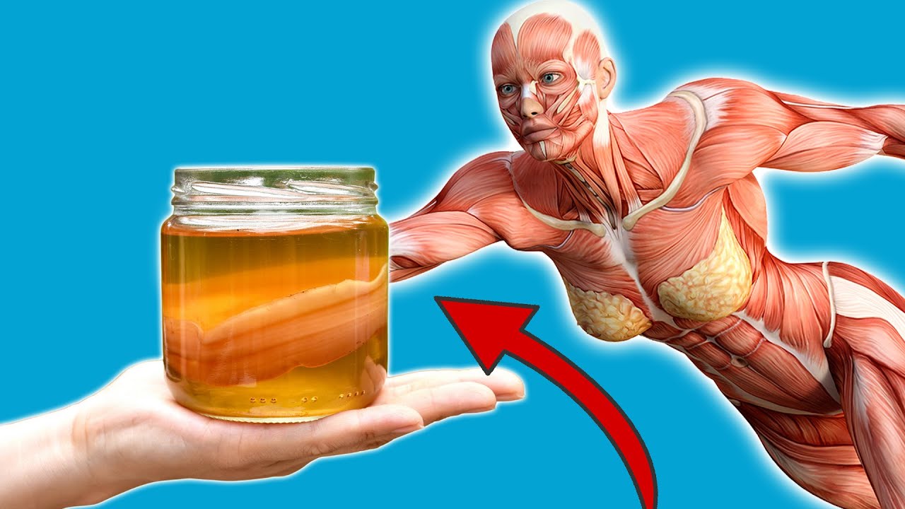 DESHALB solltest du regelm&auml;&szlig;ig Kombucha zu dir nehmen 💥 (WICHTIG) 🤯