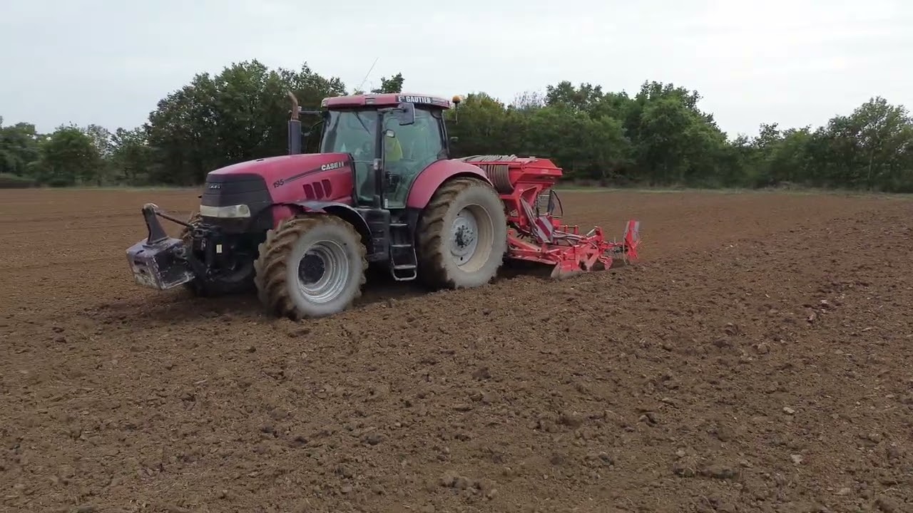 Semis de blé 2025 100% CASH IH