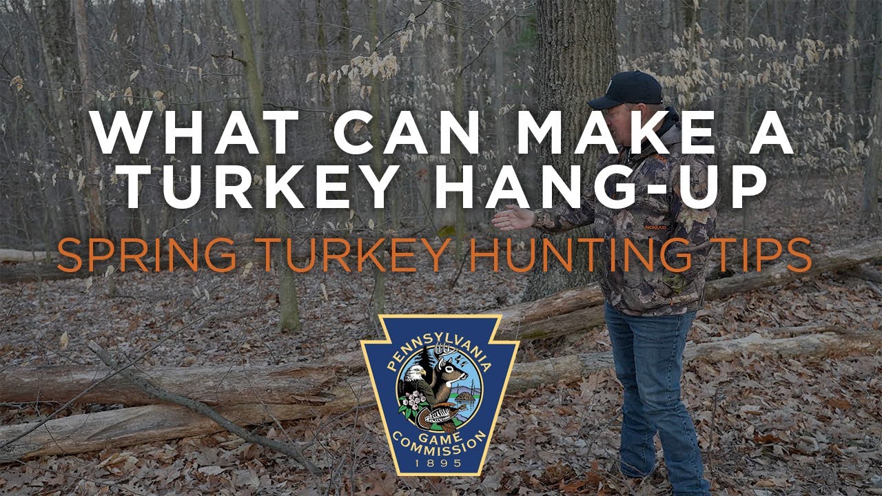 Spring Turkey Hunting Tips- What can make a turkey hang-up.