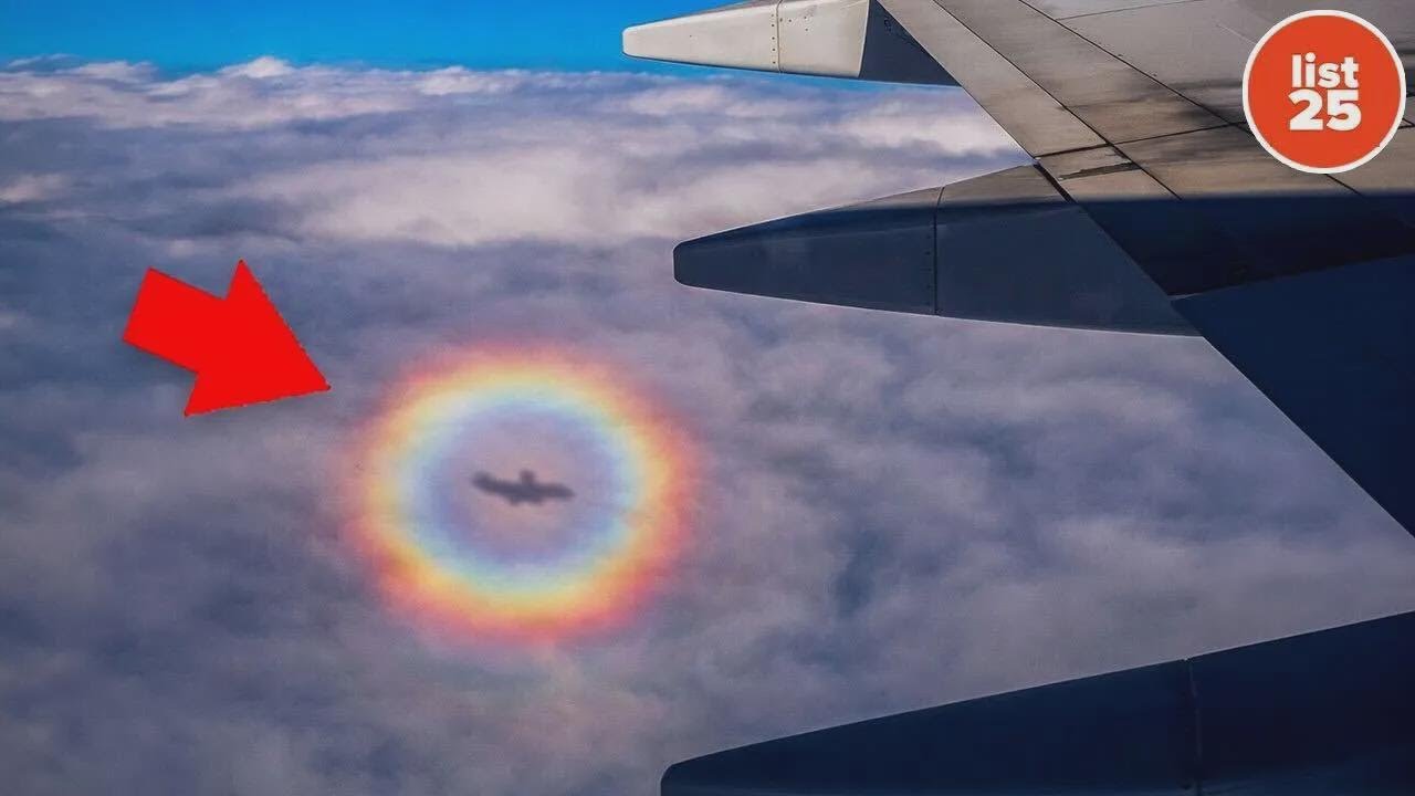 25 faszinierende Momente in der Natur, die du wahrscheinlich nie erlebt hast