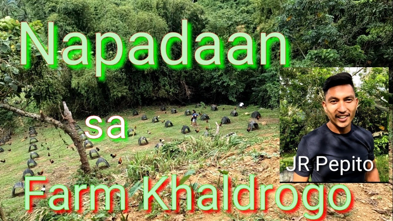 EP421: Napadaan sa Farm ni JR Pepito/Khaldrogo GF