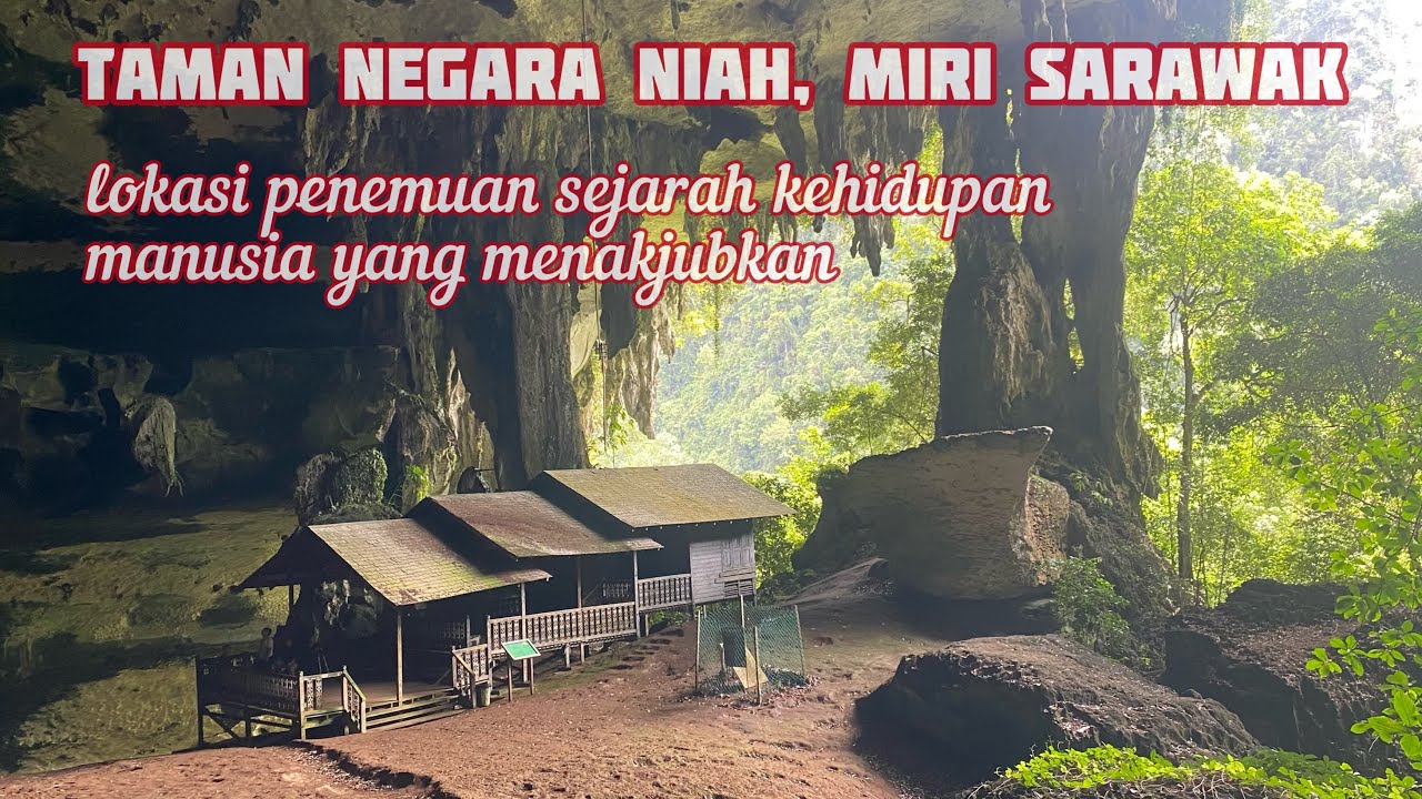 Lokasi penemuan sejarah yang menakjubkan | Exploring Niah National Park | Gua Niah Miri Sarawak