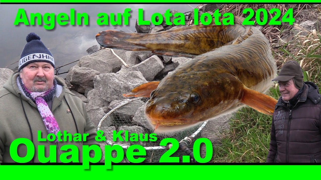 Quappe - Lothar und Klaus 2024 - Lota lota 2.0 - Wo sind die Quappen?