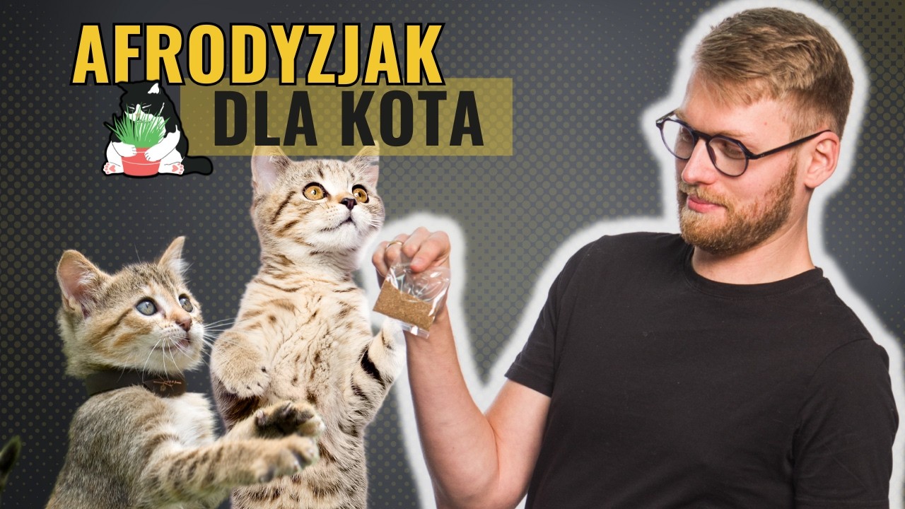 Kocimiętka &ndash; Magia, kt&oacute;ra uzależnia koty? Odkryj jej tajemnice!