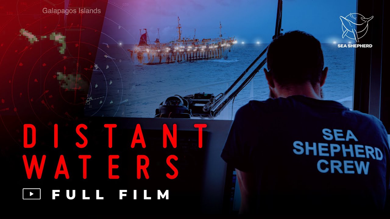Distant Waters | Full Film | Deutsche Untertitel